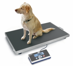 Veterinary scales up to 150 kg (EOS 150K50XL)