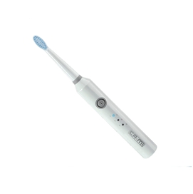 Electric toothbrush