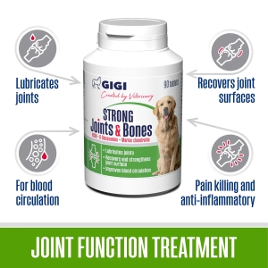 Strong Joints and Bones | Papildbarība suņu kauliem un locītavām