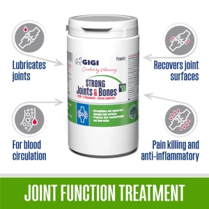 Strong Joints and Bones PULVERIS | Papildbarība suņu locītavām