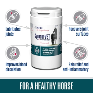 SynocurVET Joint & Bone Care for Horses | Zirgu locītavu un kaulu veselībai