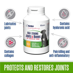 MAX STRONG Joints and Bones | Complete Support for Joints & Bones