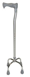 Tetrapod